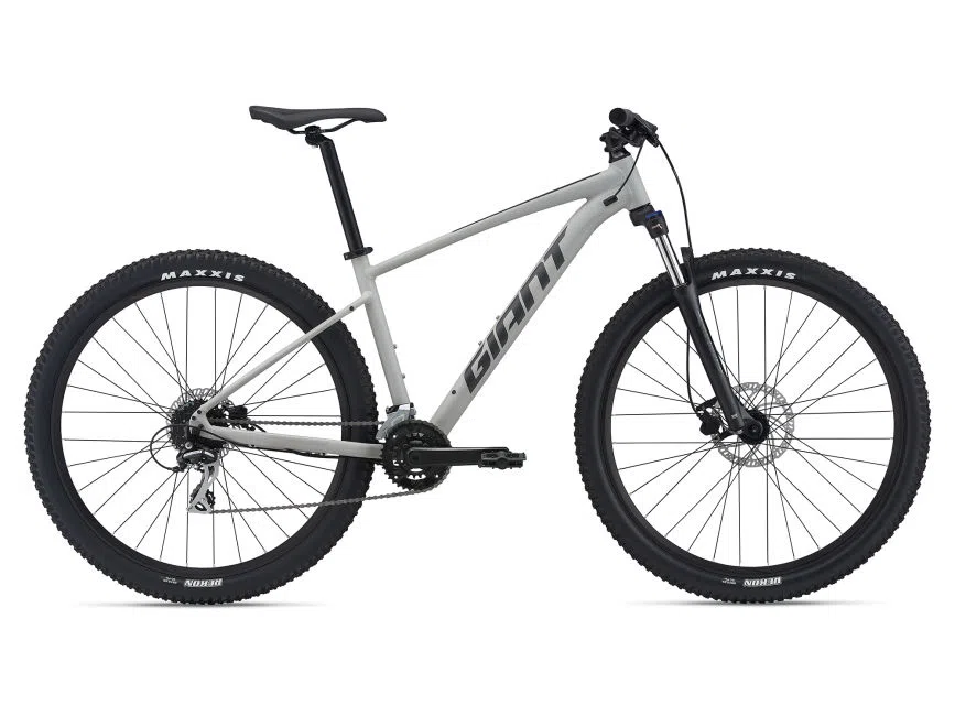 Bicicleta Giant Talon 29 2 21