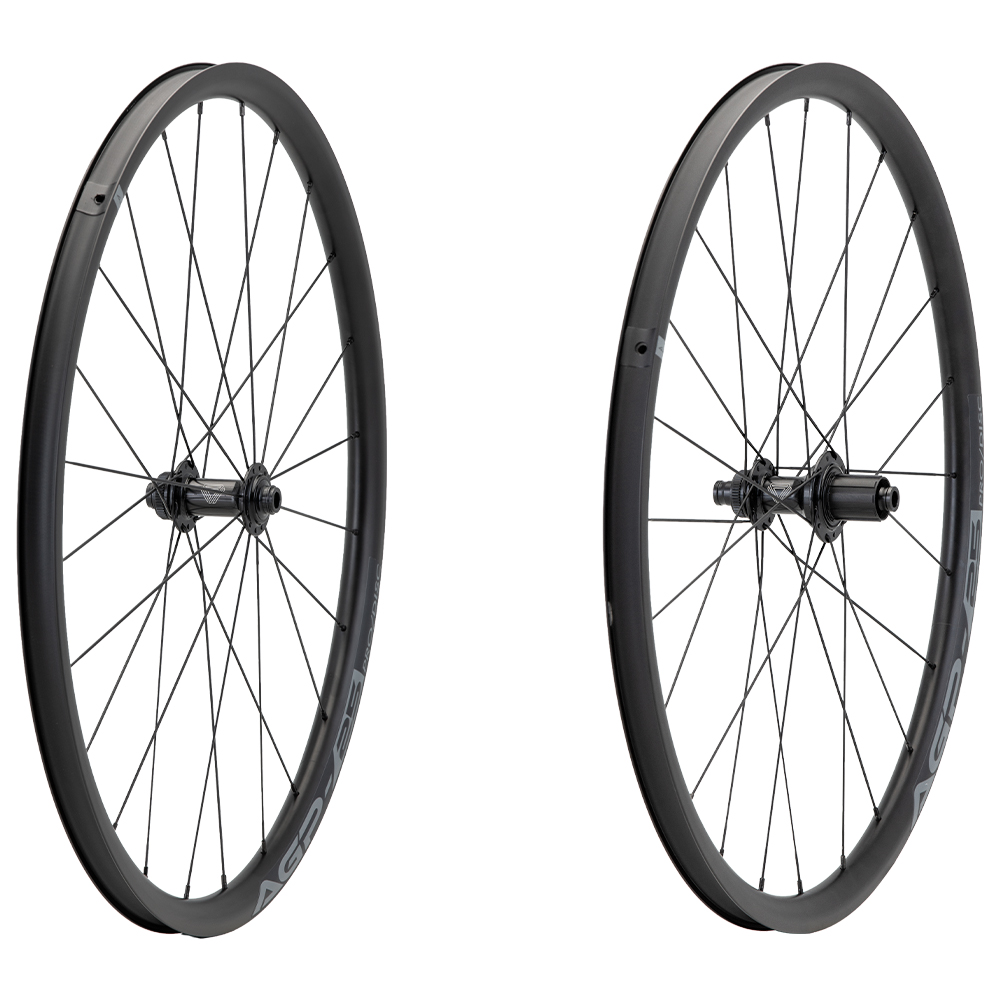 RUEDAS GRAVEL 700C 24H AGP-25 PRO/DISC GW